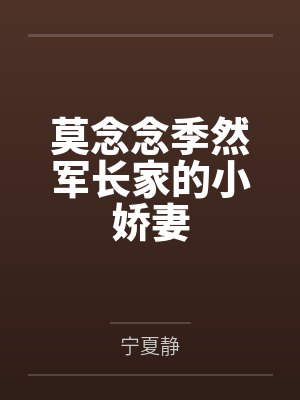 叶小飞诺顿界灵之斗灵大陆封面